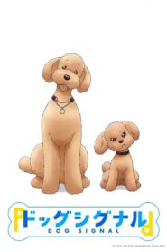 Dog Signal 2023 Online Free