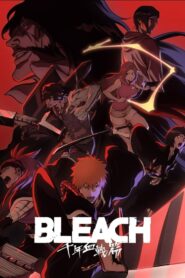 Bleach: Sennen Kessen-hen Online Free