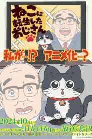 Neko Ni Tensei Shita Ojisan 2024 Online Free